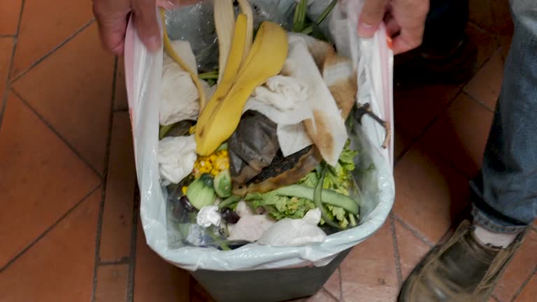 Trusted Longview Heights, WA Junk Removal Services Experts